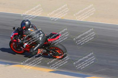 media/Nov-11-2023-SoCal Trackdays (Sat) [[efd63766ff]]/Turn 10 Inside (120pm)/